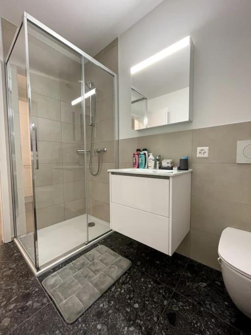 Five Stars Comfort Apartment Lugano Near The Lake Dış mekan fotoğraf