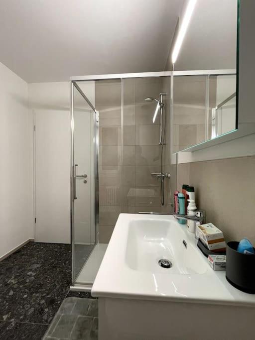 Five Stars Comfort Apartment Lugano Near The Lake Dış mekan fotoğraf