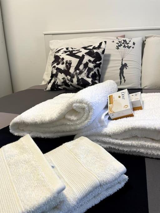 Five Stars Comfort Apartment Lugano Near The Lake Dış mekan fotoğraf