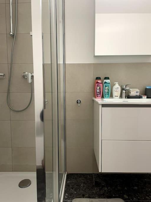 Five Stars Comfort Apartment Lugano Near The Lake Dış mekan fotoğraf