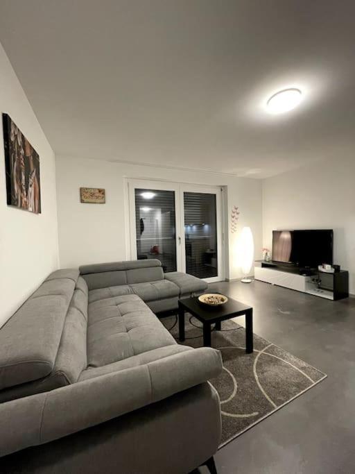 Five Stars Comfort Apartment Lugano Near The Lake Dış mekan fotoğraf