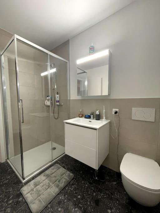 Five Stars Comfort Apartment Lugano Near The Lake Dış mekan fotoğraf